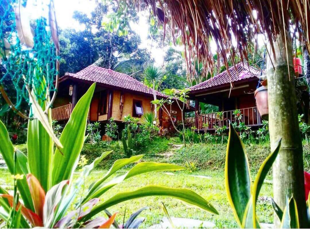 Sky Garden Lombok Apartment Tetebatu Luaran gambar
