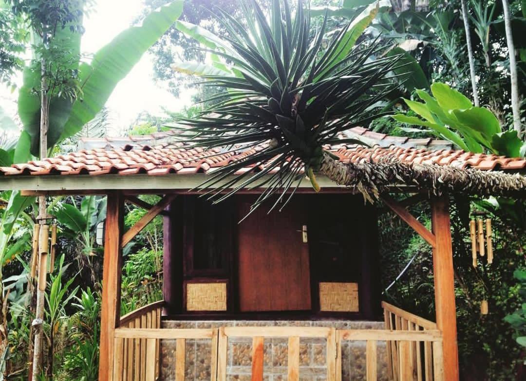 Sky Garden Lombok Apartment Tetebatu Luaran gambar