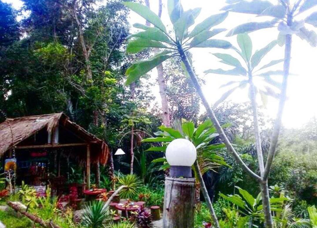Sky Garden Lombok Apartment Tetebatu Bilik gambar